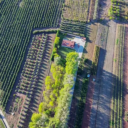 Refúgio Da Perdiz - Nature's Luxury Retreat Сasa de vacaciones *