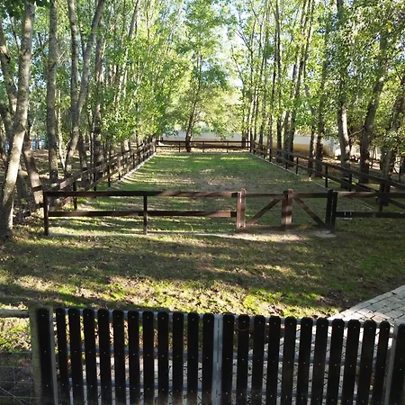 Refúgio Da Perdiz - Nature's Luxury Retreat Juncal (Leiria)